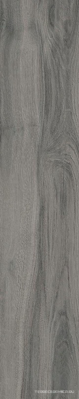 Daring Dark  |24x120