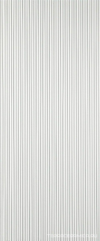3D Line White Matt 50x120 ZZ