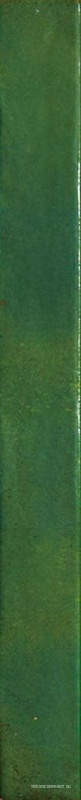 Colors Green 4,8x45