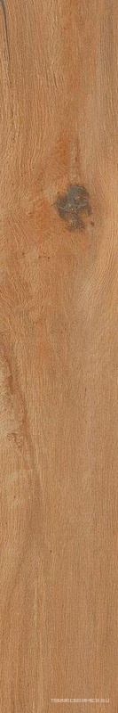 Leccio Oliato KL 20x120