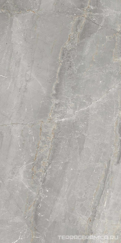 Charme Grey 60x120