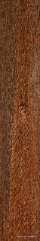 Leccio Verniciato KL 20x120
