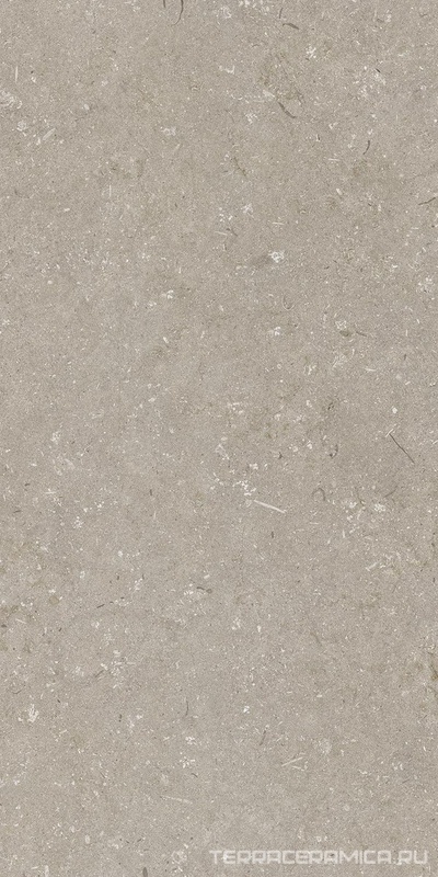Shellstone Taupe 60x120
