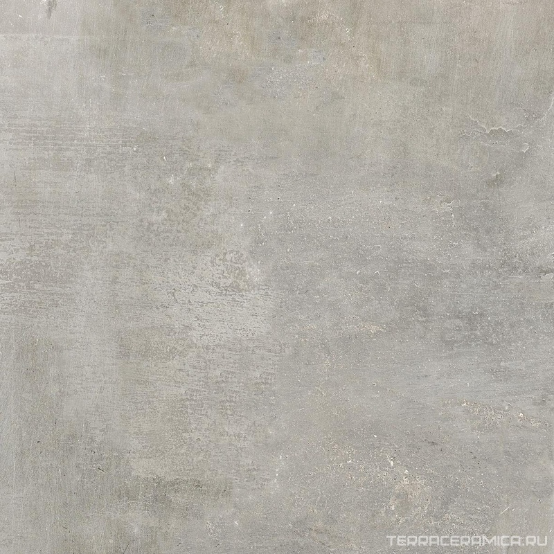 Cult Grey Ret |81x81
