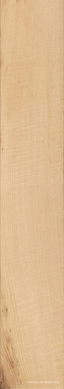 Tronco nat Rett ZZ|20x120