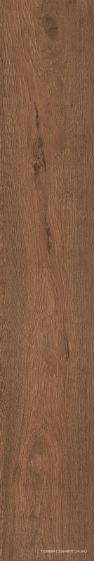 Roots Tobacco 20x120