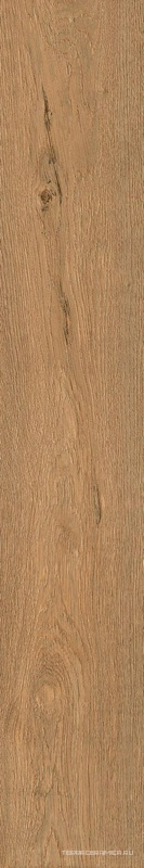 Roots Gold 20x120