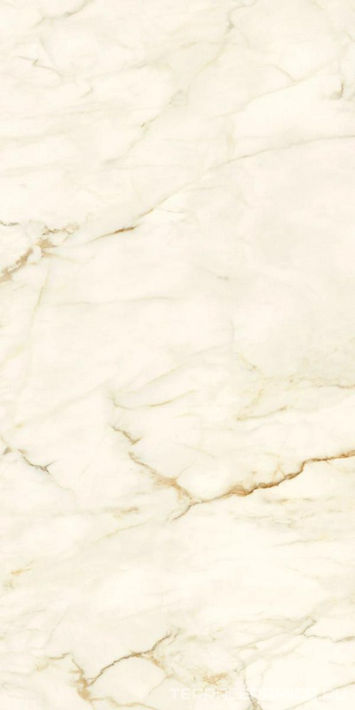 Calacatta Macchia Vecchia Natural Plus 60х120