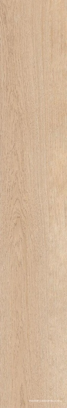 Gracewood Sand 30180 30x180