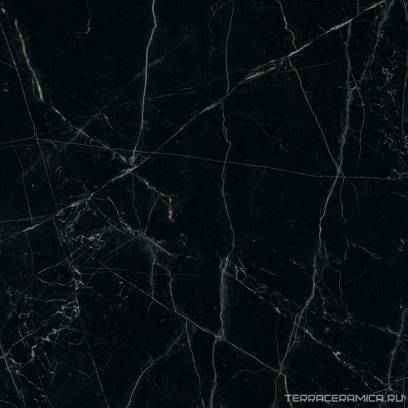 Marvel Black Atlantis Lapp ZZ 120x120