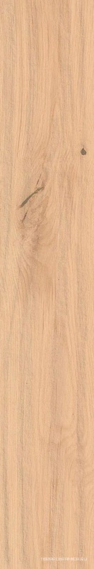 Log Bright Oak Forest ZZ 20x120 