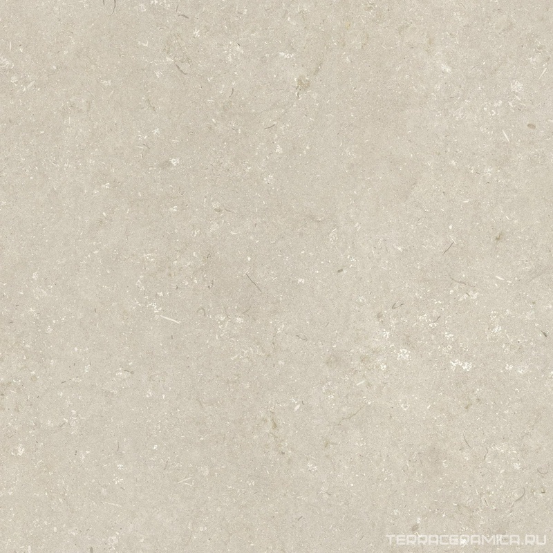 Shellstone Beige 120x120