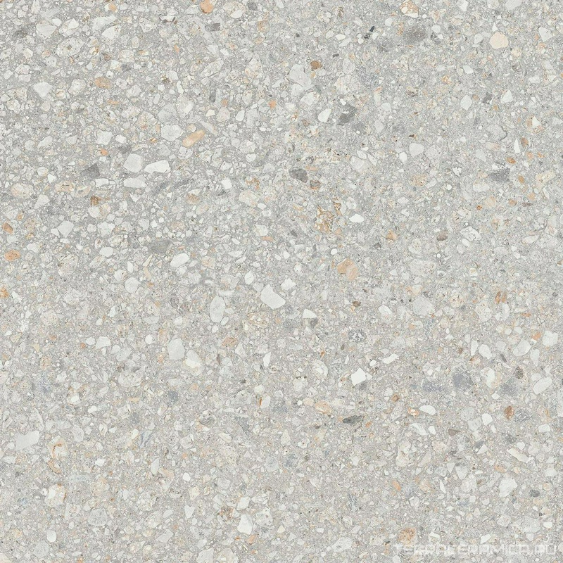 AG21 Непол.Рект.. ZZ|60х60
