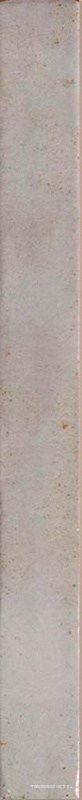 Colors Lightgrey 4,8x45