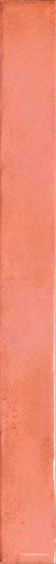 Colors Salmon 4,8x45
