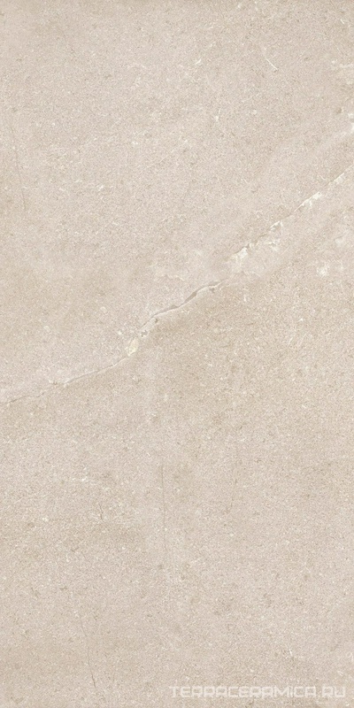 New Stone Daino 60x120