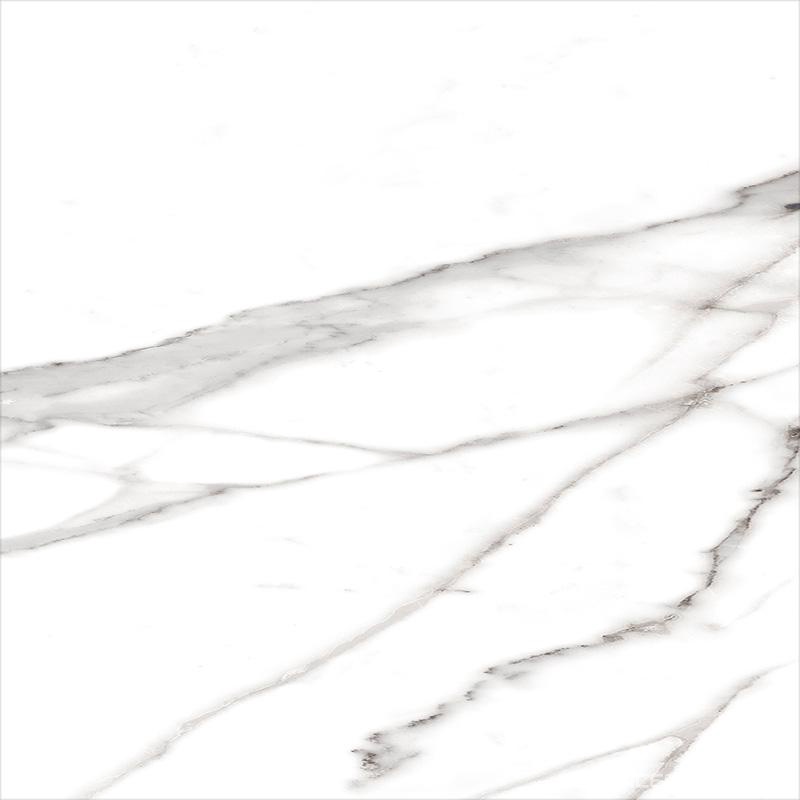 Roma Statuario Matt RT ZZ I60x60