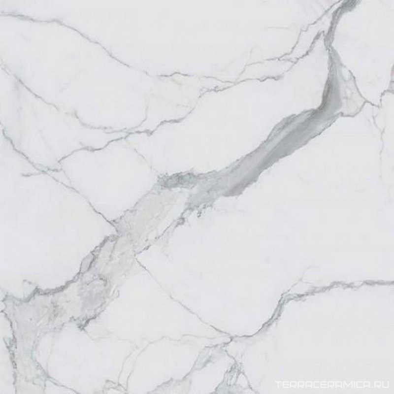 Statuario  Glossy ZZ 60x60
