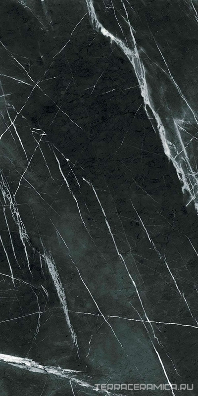 Neiva Black/Нейва G395 черный мат.60x120