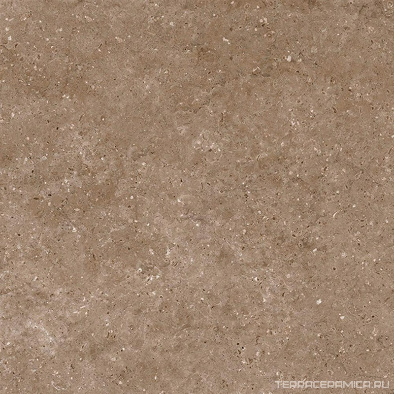 Arkaim Brown G214/Аркаим коричневый мат . 60x60