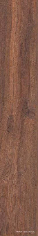 Selection 02 eucalyptus неполир.19.4x120