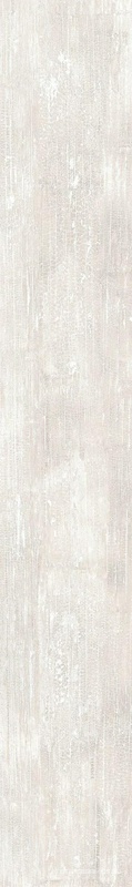 Eterno Ice |26.5x180