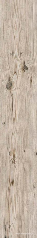 Living tortora ZZ |15x100