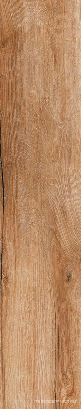 Daring Nut |24x120