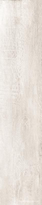GreenWood Bianco|24x120