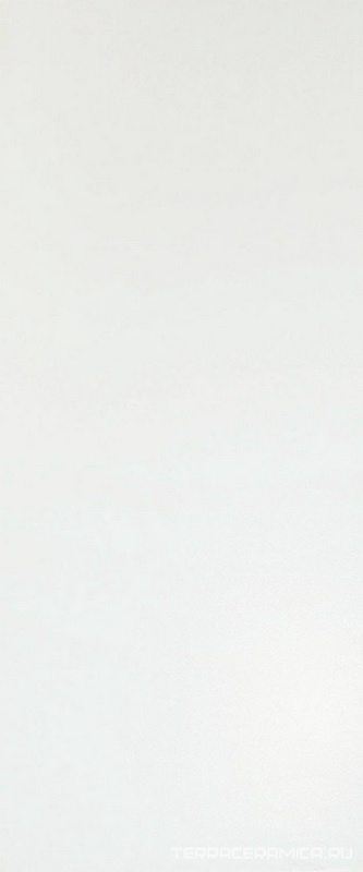 Solid White Matt 50x120 ZZ