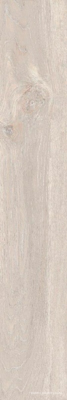 Daintree DA01 light beige неполир.19.4x120