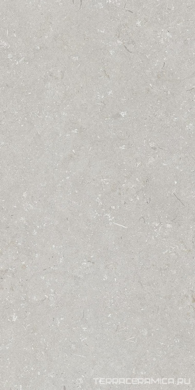 Shellstone Bianco 60x120