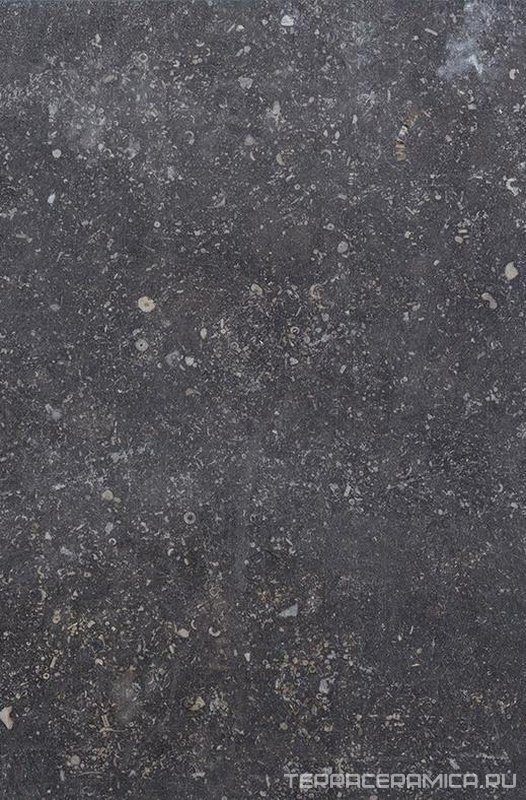 Ardenne Nero 40х60.8