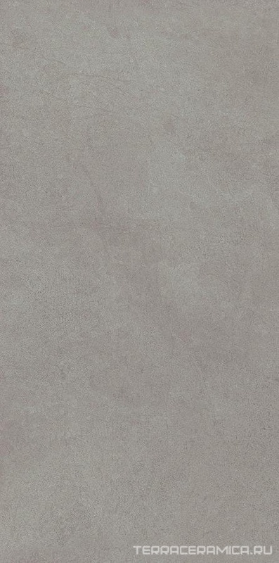 Starck Grey 20.1х40.5