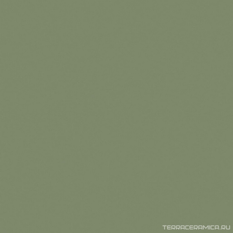 Rainbow RW06 зелёный неполир. ZZ60x60