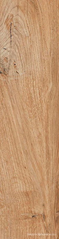 Daring Nut BSlim  ZZ|15x61