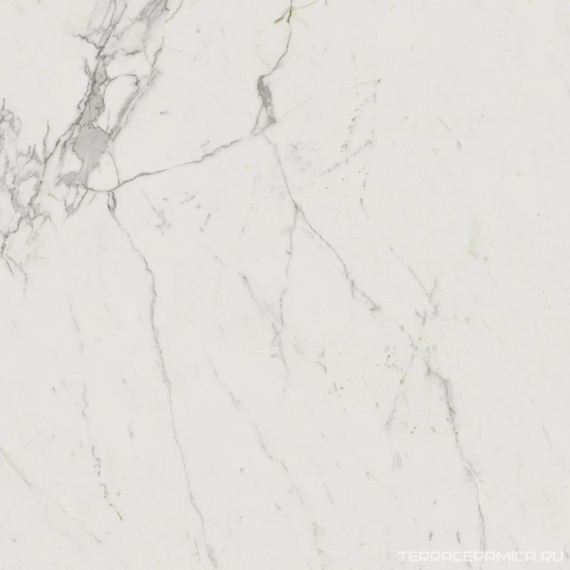 Marvel Calacatta Extra Lappato ZZ 120x120