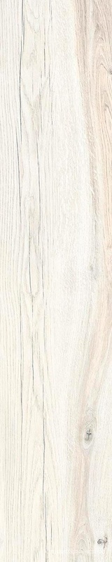 Daring Ivory |24x120