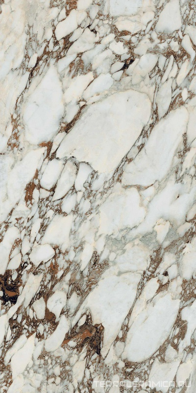 Bijoux Breche Capraia Glossy 60x120