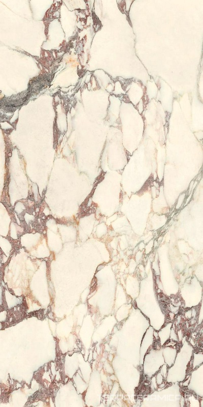 Calacatta Viola Soft 60x120