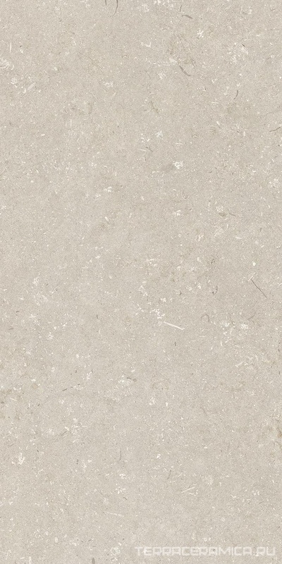 Shellstone Beige 60x120