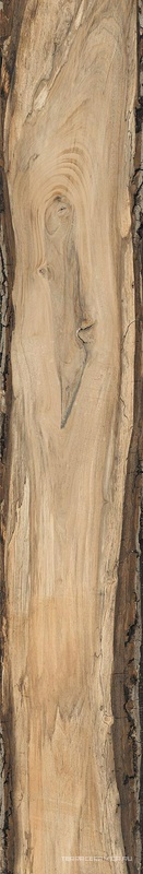 Sherwood Oak |24x150