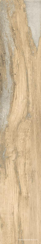 Infinity (Infusion) Birch 24x150