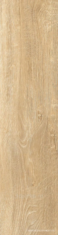 Daring Honey BSlim  ZZ|15x61