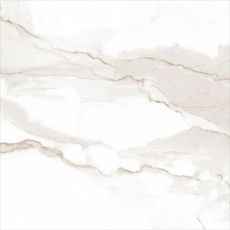 Roma Calacatta Matt RT ZZ |60x60
