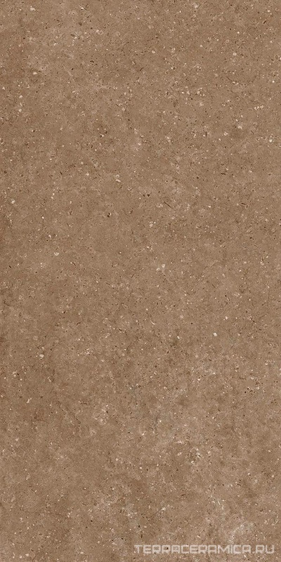 Arkaim Brown G214/Аркаим коричневый мат 60x120
