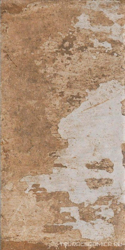 Cohiba |10x20