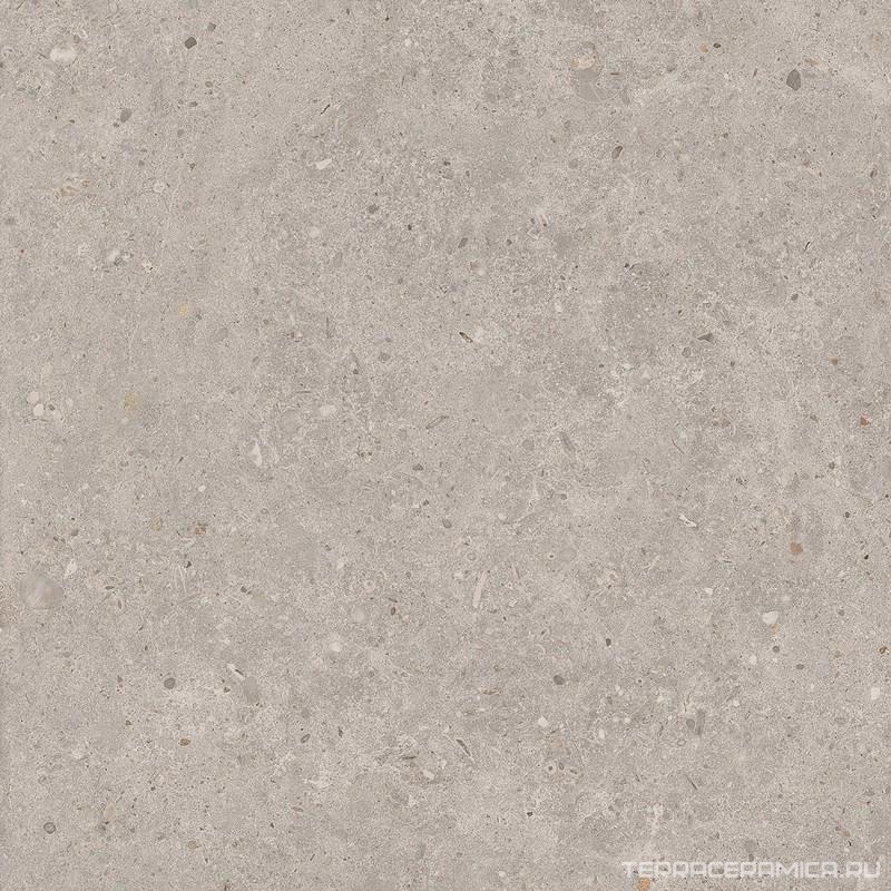 Риккарди серый светлый матовый обрезной 60x60