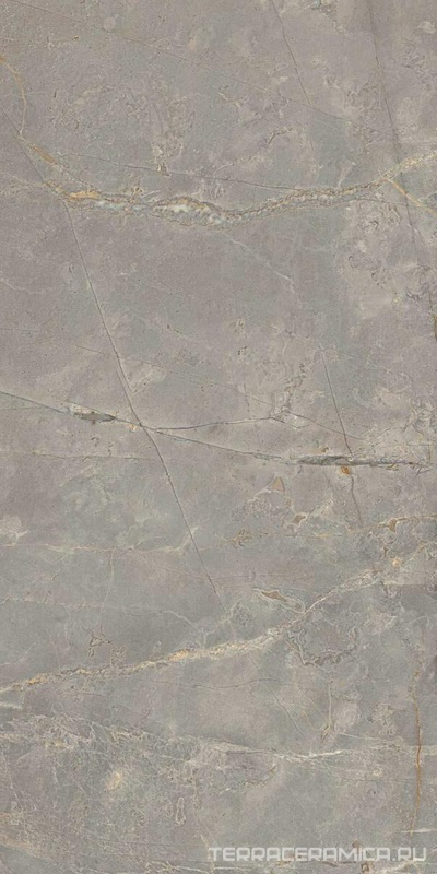Bernini 03 grey неполир.60х120