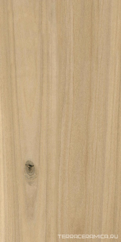 Select Wood beige (ректификат) KL 30x60